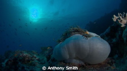 Look at you by Anthony Smith 